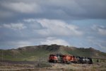 CN 3095/3023/3800/BNSF 9621